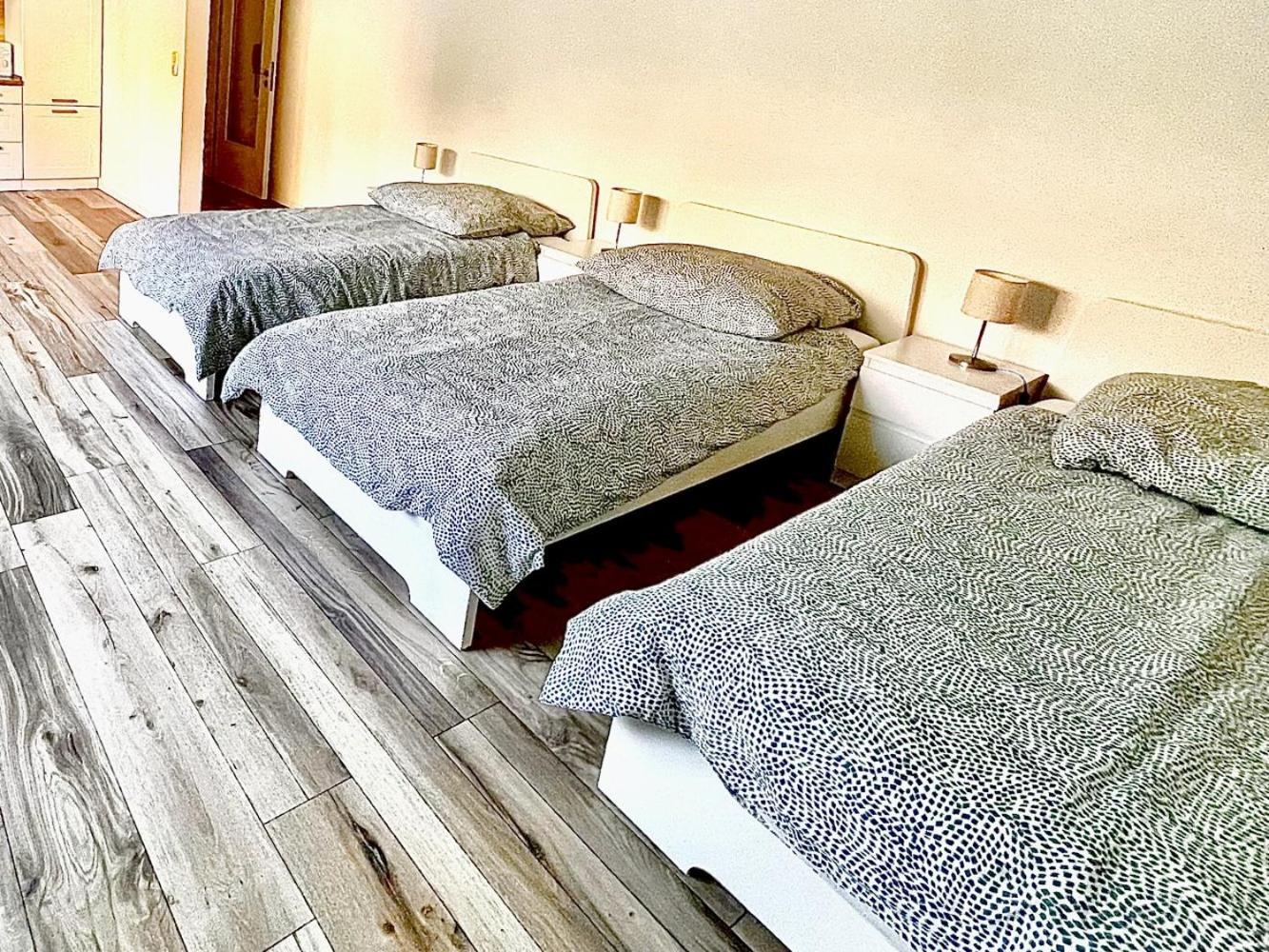 Cozy In Apartment Passau